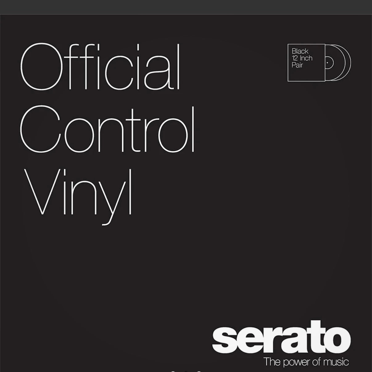 12" Control Vinyl Performance-Serie - 2x12 Black